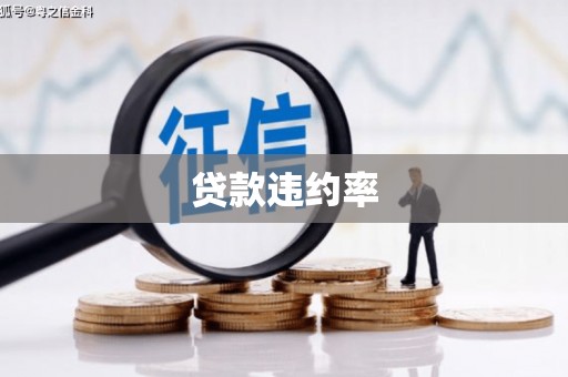 沙市贷款违约率