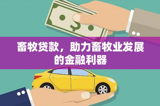 沙市畜牧贷款，助力畜牧业发展的金融利器