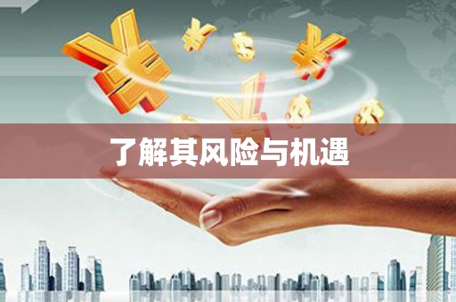 沙市了解其风险与机遇