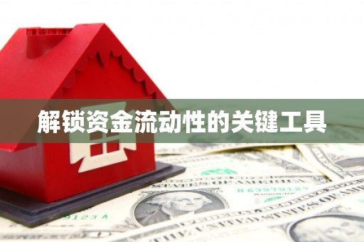 沙市解锁资金流动性的关键工具
