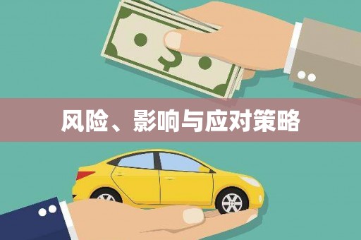 沙市风险、影响与应对策略