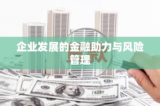 沙市企业发展的金融助力与风险管理