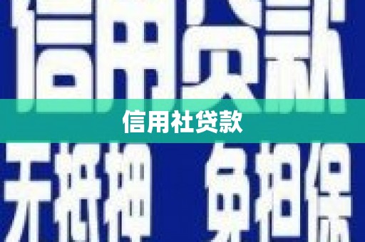 沙市信用社贷款