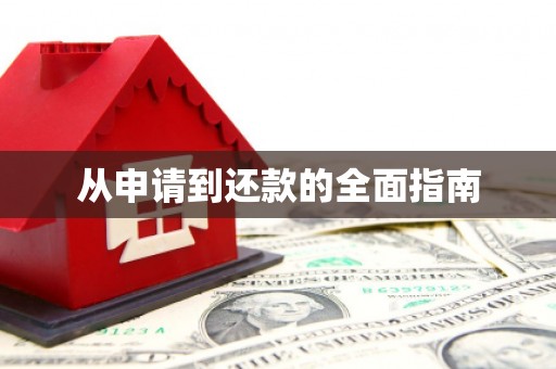 沙市从申请到还款的全面指南