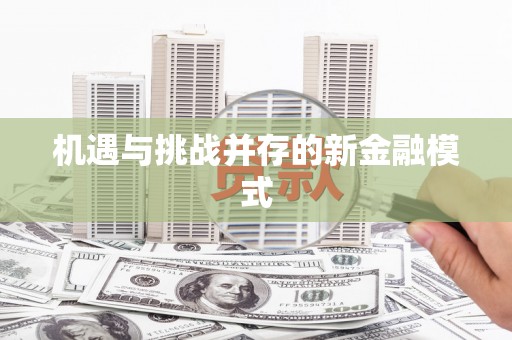 沙市机遇与挑战并存的新金融模式