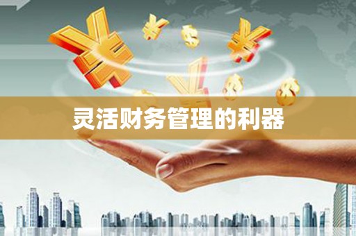 沙市灵活财务管理的利器