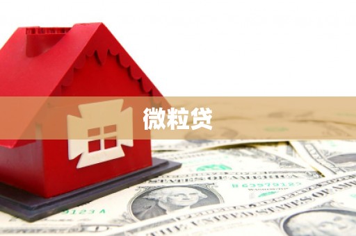 沙市微粒贷