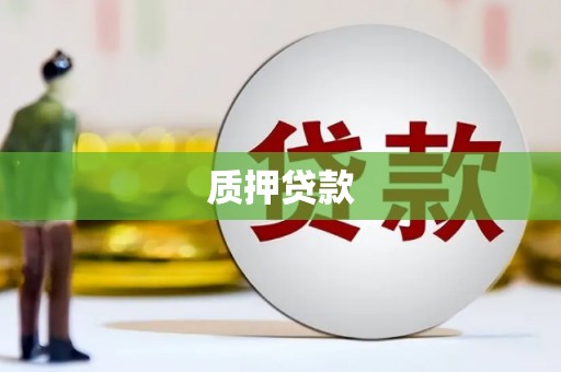沙市质押贷款