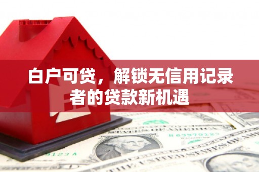 沙市白户可贷，解锁无信用记录者的贷款新机遇