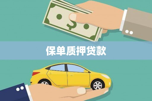 沙市保单质押贷款