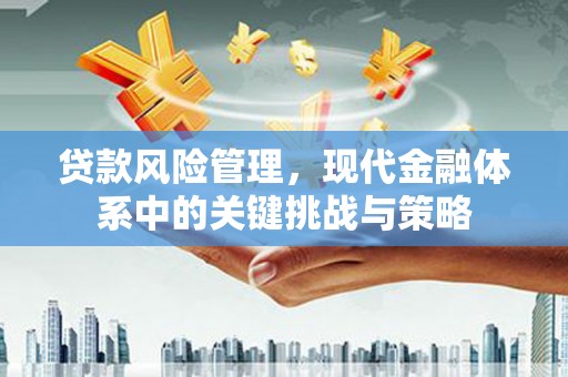沙市贷款风险管理，现代金融体系中的关键挑战与策略