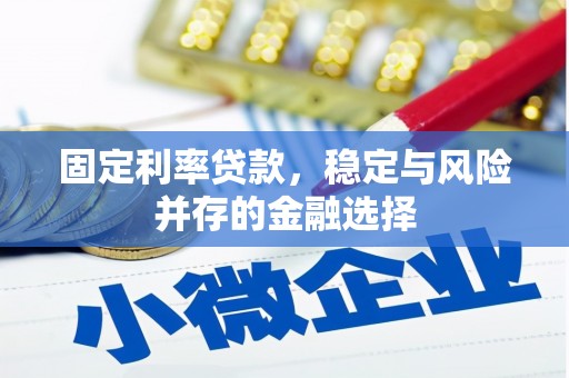 沙市固定利率贷款，稳定与风险并存的金融选择