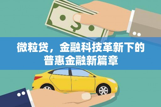 沙市微粒贷，金融科技革新下的普惠金融新篇章