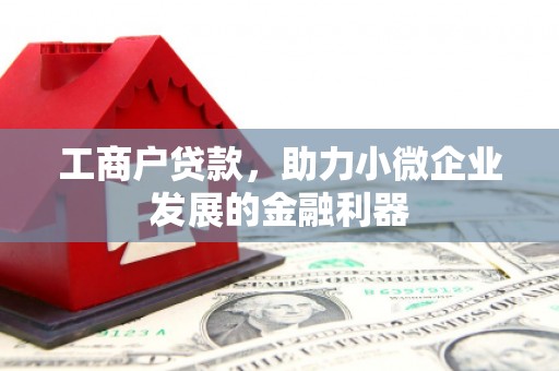 沙市工商户贷款，助力小微企业发展的金融利器