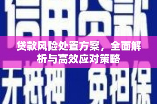 沙市贷款风险处置方案，全面解析与高效应对策略