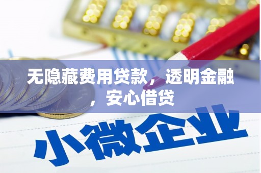 沙市无隐藏费用贷款，透明金融，安心借贷