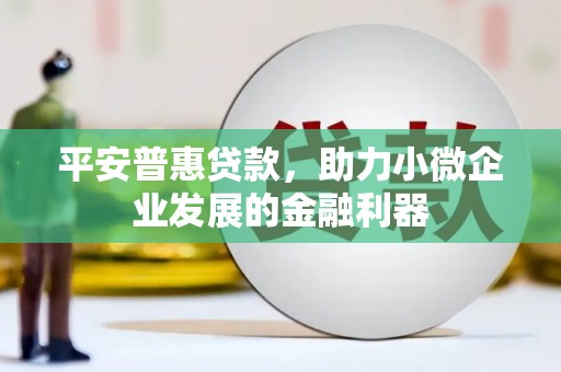 沙市平安普惠贷款，助力小微企业发展的金融利器