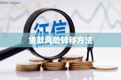 沙市贷款风险转移方法