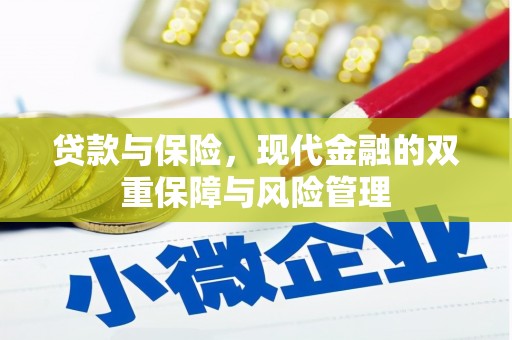 沙市贷款与保险，现代金融的双重保障与风险管理