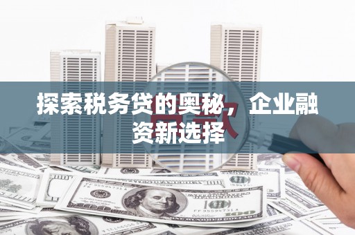 沙市探索税务贷的奥秘，企业融资新选择