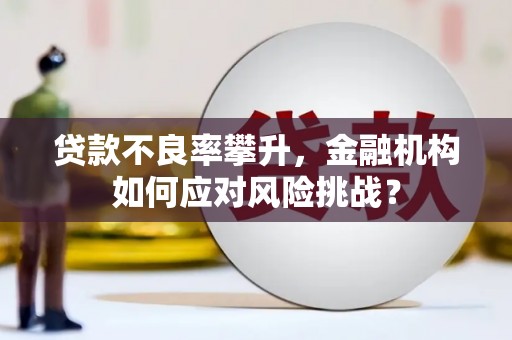 沙市贷款不良率攀升，金融机构如何应对风险挑战？