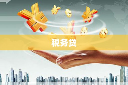 沙市税务贷