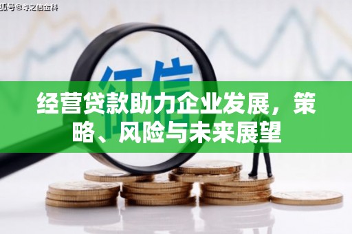 沙市经营贷款助力企业发展，策略、风险与未来展望