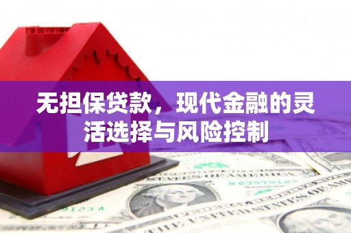 沙市无担保贷款，现代金融的灵活选择与风险控制