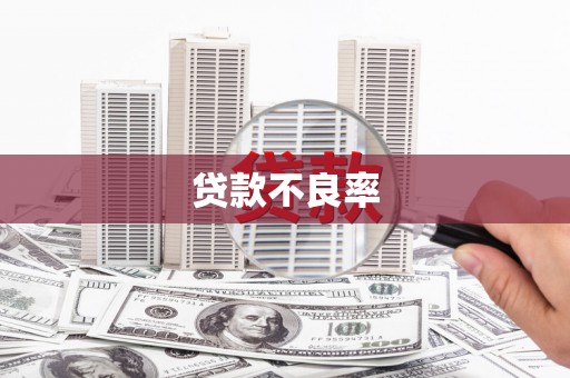沙市贷款不良率