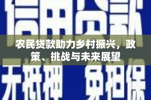 沙市农民贷款助力乡村振兴，政策、挑战与未来展望