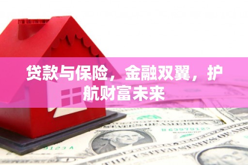 沙市贷款与保险，金融双翼，护航财富未来