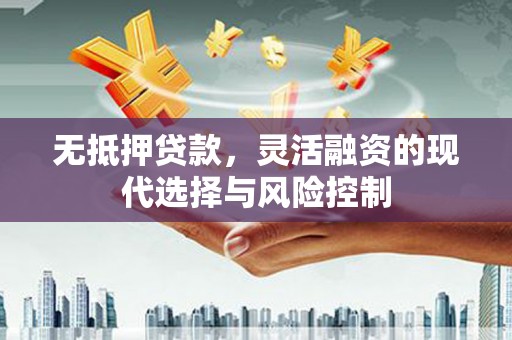 沙市无抵押贷款，灵活融资的现代选择与风险控制