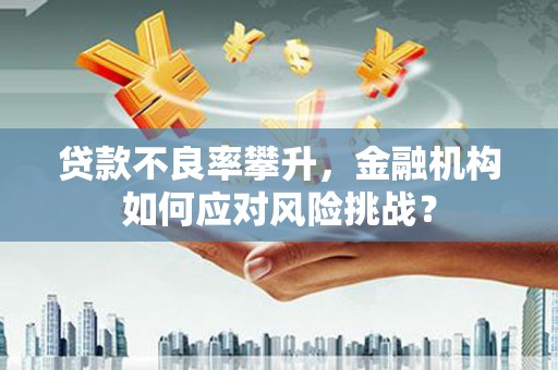 沙市贷款不良率攀升，金融机构如何应对风险挑战？