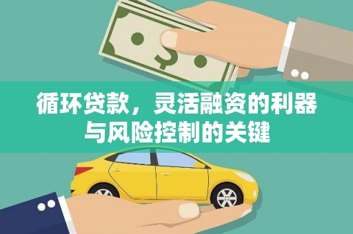 沙市循环贷款，灵活融资的利器与风险控制的关键