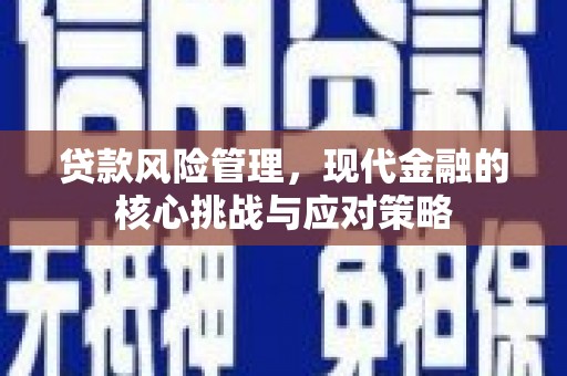 沙市贷款风险管理，现代金融的核心挑战与应对策略