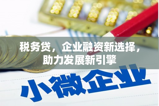沙市税务贷，企业融资新选择，助力发展新引擎