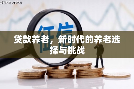 沙市贷款养老，新时代的养老选择与挑战