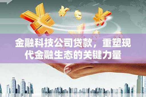 沙市金融科技公司贷款，重塑现代金融生态的关键力量