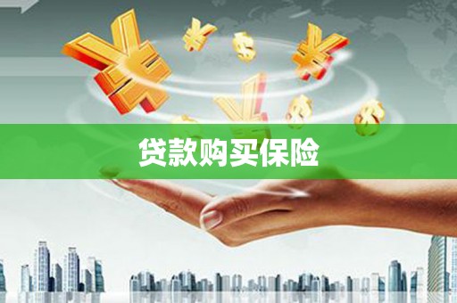 沙市贷款购买保险