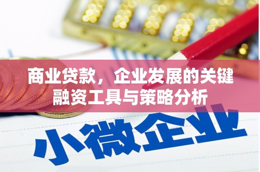 沙市商业贷款，企业发展的关键融资工具与策略分析