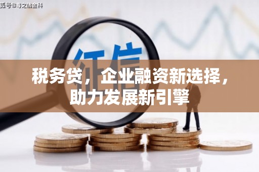 沙市税务贷，企业融资新选择，助力发展新引擎