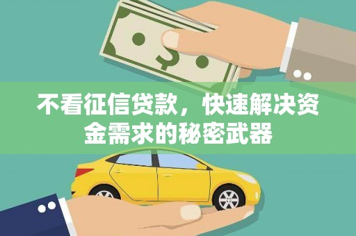 沙市不看征信贷款，快速解决资金需求的秘密武器