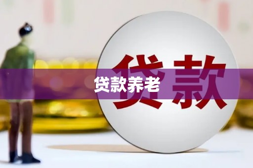 沙市贷款养老