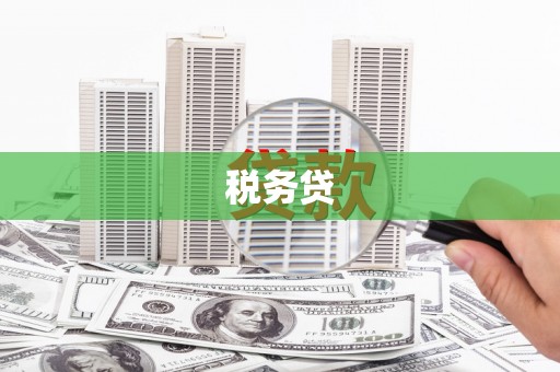 沙市税务贷