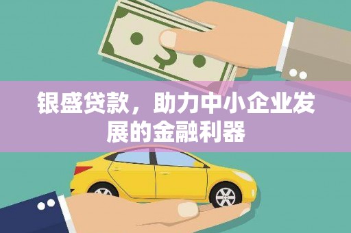 沙市银盛贷款，助力中小企业发展的金融利器