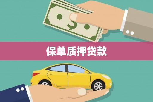 沙市保单质押贷款