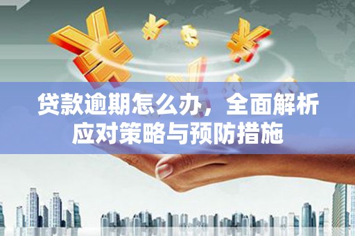 沙市贷款逾期怎么办，全面解析应对策略与预防措施