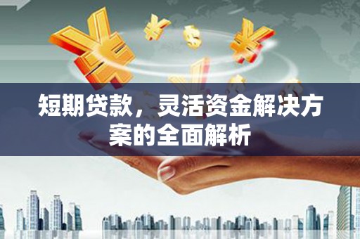沙市短期贷款，灵活资金解决方案的全面解析