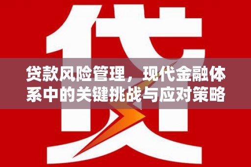 沙市贷款风险管理，现代金融体系中的关键挑战与应对策略