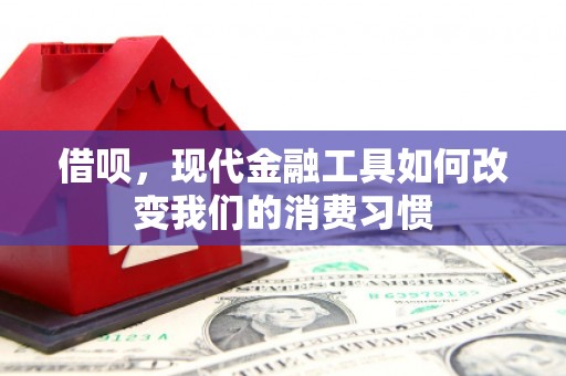 沙市借呗，现代金融工具如何改变我们的消费习惯
